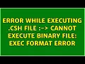 Ubuntu Error while executing csh file - cannot execute binary file Exec format error