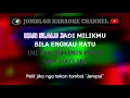 Download Lagu ran ratu lebah karaoke