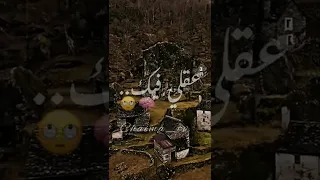 صغري شينوي مهبول عقلي فيك يالبابور حالة واتساب جديدة 