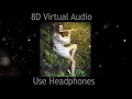 Download Lagu Maula Mere Maula - Anwar (8D Virtual Audio) |Use Headphones|