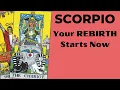 Download Lagu Scorpio This Week Brings a Rebirth You’ll Never Forget! 🩷 July 14th – 21st Tarot Reading