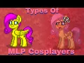 Types Of MLP Cosplayers On Pony Town