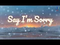 Download Lagu Afgan - ​Say I’m Sorry (Lyrics)