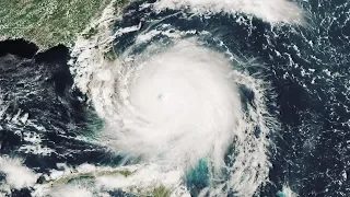 HURRICANE DORIAN Relief Effort. 💔 Bahamas.