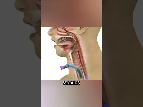 Este Agujero La Mantiene Viva