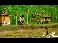 Download Lagu CEO Leaves City for Countryside | Renovates House, Grows Food, Helps Poor Children