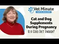 Vet Minute Dog Supplements vs Good Diet During Pregnancy