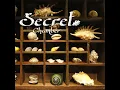 Secret Chamber