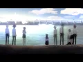 Download Lagu Last Butterfly - Digimon Tri - [Piano \u0026 Strings]