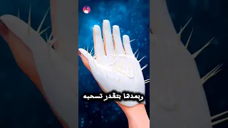طريقه سهله لازاله اشواك الصبار 