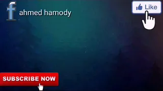 حالات واتس زي الملايكه عمرو دياب دندنها