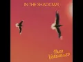 In The Shadows - Paco Versailles