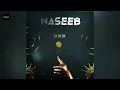 Dee MC - Naseeb (Clean Version)