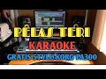 LAGU TERBARU PELAS TERI KARAOKE