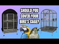 Should You Cover Your Bird s Cage at Night - Parrot Sleep and Cage Covering BirdNerdSophie