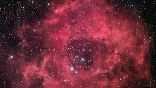 روائع محمد البراك سورة النجم 