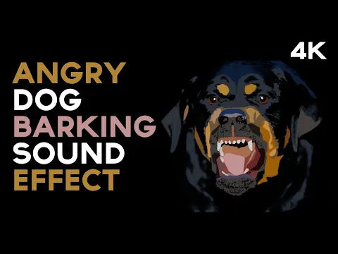 Download MP3 Angry Dog Barking Sound Effect to make your Dog Bark and also for your YouTube Videos