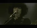 THE NOVEMBERS - she lab luck(PV)