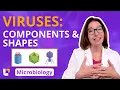 Viruses Components Shapes - Microbiology Acellular Pre-Nursing Pre-Med LevelUpRN