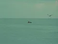 mar de amoREs - Remers