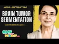 Matlab Image Processing Project - Brain Tumor Segmentation Missing MRI Modalities