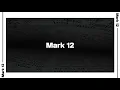 Mark 12 Bible Reading NIV