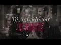 No Comprendí Tu Amor, Jorge Oñate - Letra Oficial