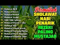 Download Lagu KUMPULAN SHOLAWAT PENARIK REZEKI TERBARU 2025 | Sholawat Jibril, Sholawat Busyro, Nariyah, Asyghil