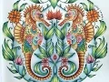 SEAHORSES from Lost Ocean Coloring book Oceano Perdido