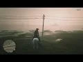 RDR 2 Southern Roanoke Treasure map Location