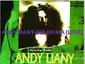 Download Lagu andy liany-bolehma (lyric)