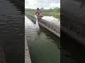 Download Lagu Throwing My Net Into a Tiny Canal #amazing #fishing