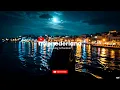 Download Lagu Nothing Is Random | TrapNederland x PositiveHedgehog (Official Visualizer 🎥)