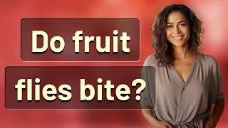 Do fruit flies bite