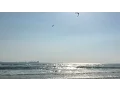 Download Lagu Graham Howes Flying with Cabrinha
