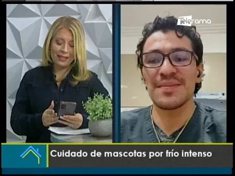 Cuidado de mascotas por frío intenso