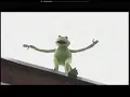 Kermit commits suicide