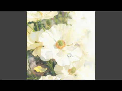 Video Thumbnail: Anemone