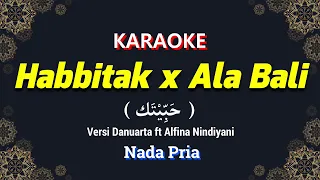 habbitak x ala bali karaoke nada pria cowok versi reggae ska