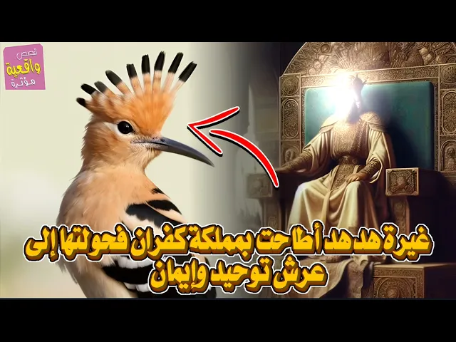 ⁣غيرة طائر الهدد اطاحت بمملكة كفران فحولتها الى عرش توحيد وايمان