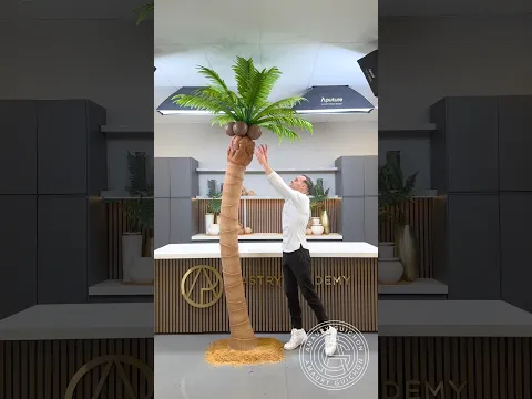 Chocolate Palm Tree! 🌴🥥 The sweetest vacation… #amauryguichon #chocolate