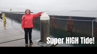 WOW!! What a great year we had on our Bayliner 4087 in 2019!