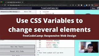 Use CSS Variables to change several elements at once Basic CSS freeCodeCamp tutorial