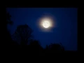 Download Lagu Sounds of Night Crickets