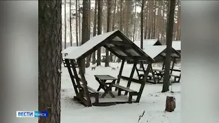 На озере Линёво в Омской области заметили рысь