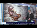It s scorpion season in Las Vegas Here s how not to get stung