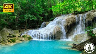 DEEP RELAXATION MUSIC AND NATURE SOUNDS🌿SLEEP AND RELAXATION MUSIC WITH WATER SOUNDS