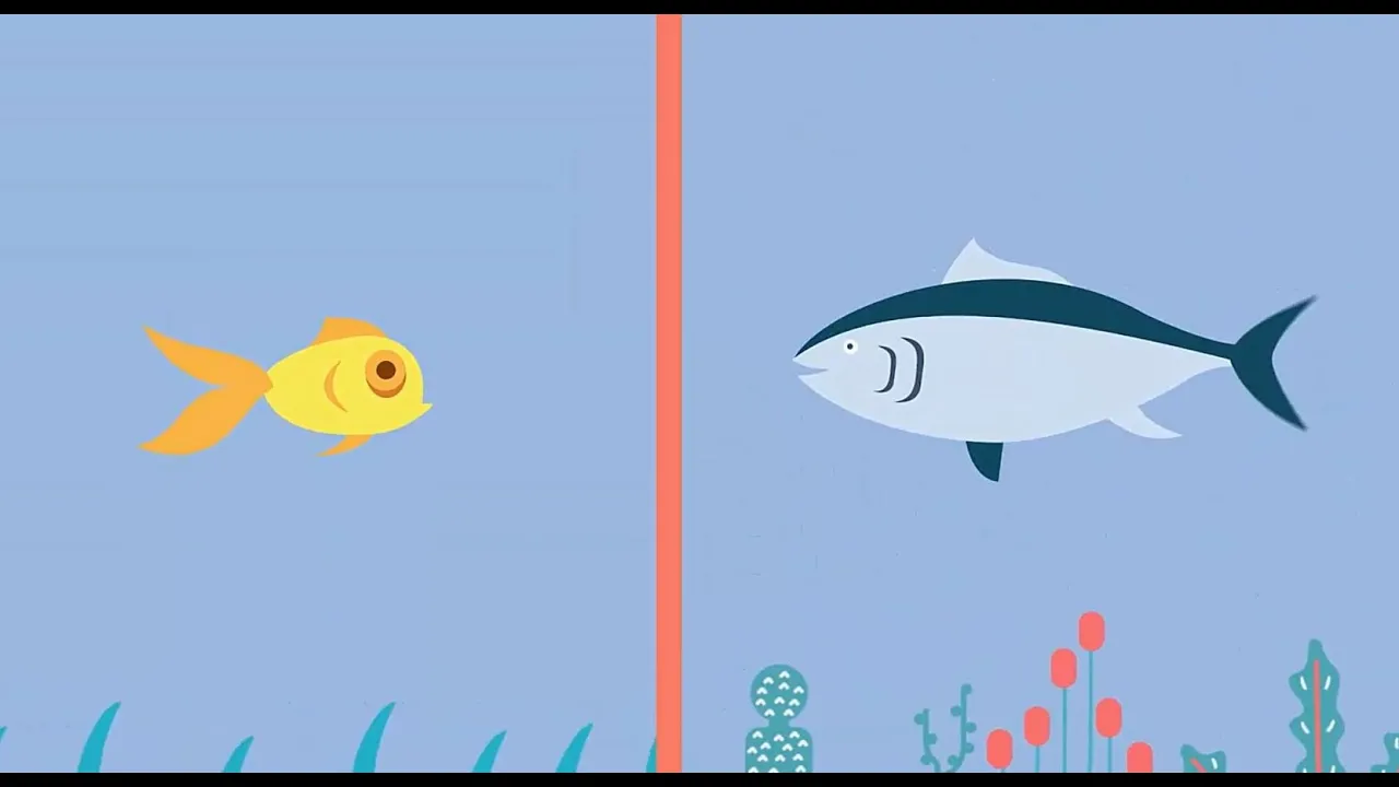 Salinity