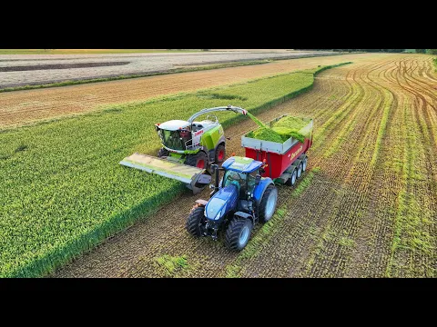 Agriculture — Cascina Laghetti, Italy