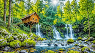 Beautiful Relaxing Music - Stop Overthinking, Stress Relief Music, Sleep Music, Calming Music #350